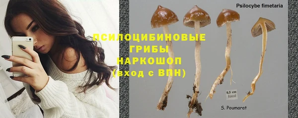 круглые Аркадак