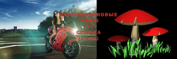 круглые Аркадак