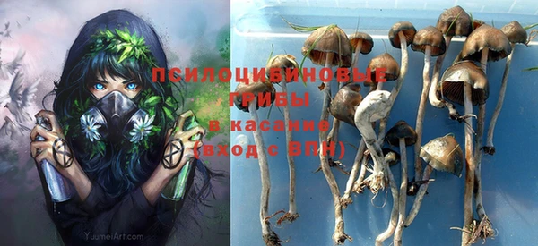 каннабис Арсеньев